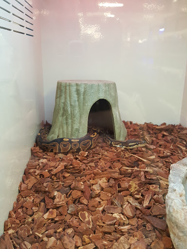 Pet Supply Store «Pet Supplies Plus», reviews and photos, 2600 McFarland Blvd E U, Tuscaloosa, AL 35405, USA