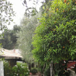 Photo n°2 de l'avis de Pamela.a fait le 19/06/2021 à 17:02 sur le  Relax Hotel La Gardenia and Villa Oleandra à Limone sul Garda