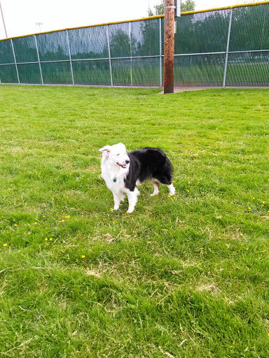 Park «Hogan Park», reviews and photos, 24400 Russell Rd, Kent, WA 98032, USA