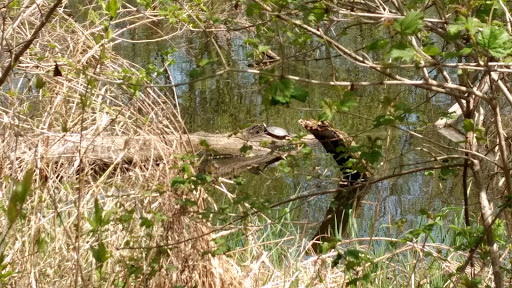 Nature Preserve «Hawthorne Hill Nature Center», reviews and photos, 28 Brookside Dr, Elgin, IL 60123, USA
