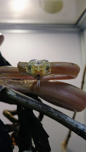 Tropical Fish Store «World Of Pets Inc», reviews and photos, 7199 Turfway Rd #2, Florence, KY 41042, USA