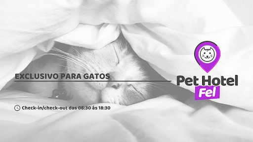 Pet Hotel Fel - Hotel para Gatos