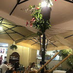 Photo n°1 de l'avis de Madzia.a fait le 15/08/2023 à 21:24 sur le  Trattoria Vento dal Sud à Trapani