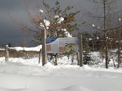 Col de la Blanche à Davignac
