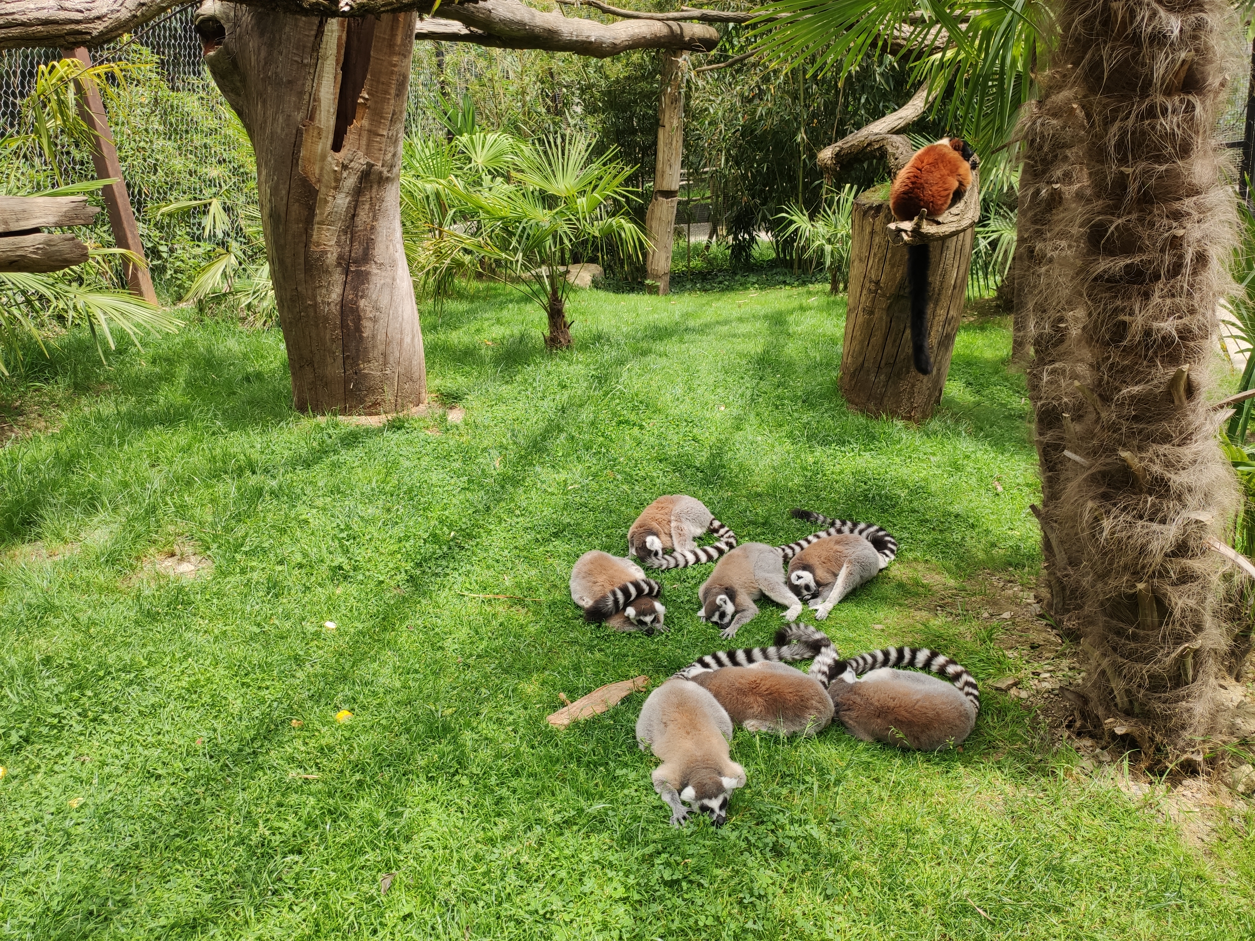 Photo n° 3 de l'avis de Yann.a fait le 29/07/2023 à 09:41