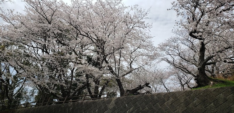 石田蘭園