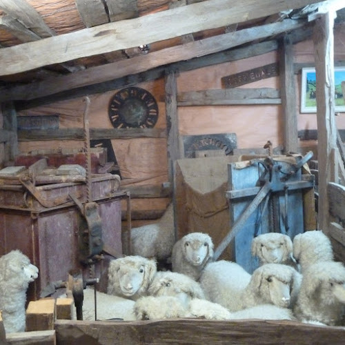 Reviews of The Wool Shed, National Museum Of Sheep & Shearing in Masterton - Museum