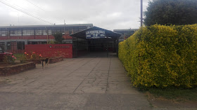 Liceo Vicente Perez Rosales