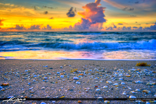 Explore small western tattoo ideas, creative tattoo ideas in West Palm Beach, available at GURU Tattoo & Piercing - Palm Beach County