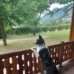 Photo n°3 de l'avis de Catia.e fait le 11/07/2023 à 14:29 sur le  Lazy Bee camping village - La Pinsa à Quart