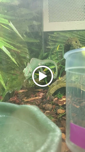 Pet Supply Store «PetSmart», reviews and photos, 849 E 23rd St, Panama City, FL 32405, USA