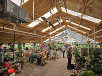 Jackson's Greenhouse - Photo 7 - Car repair in Topeka, KS, Topeka