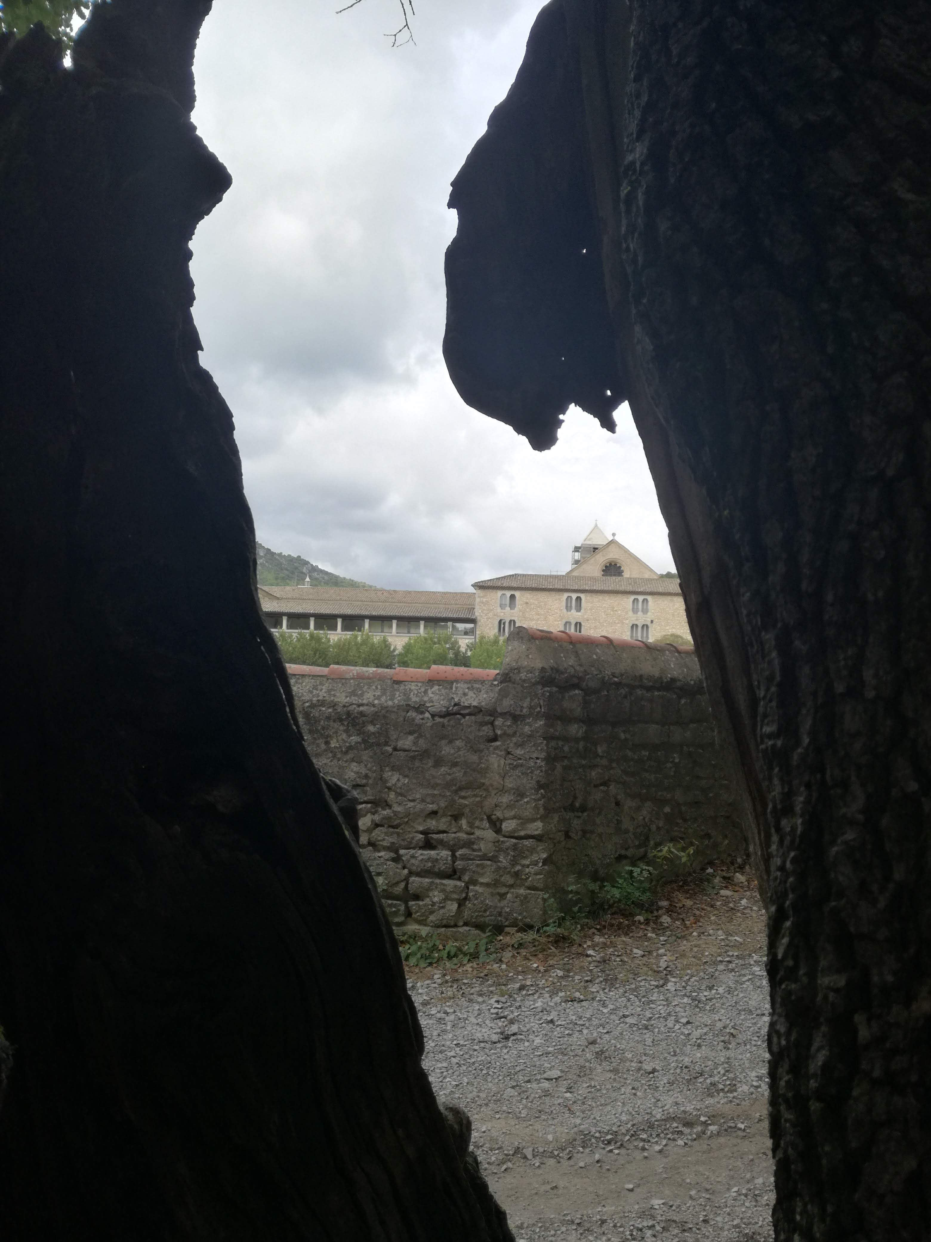 Photo n° 5 de l'avis de Frédérique.e fait le 21/09/2021 à 13:06