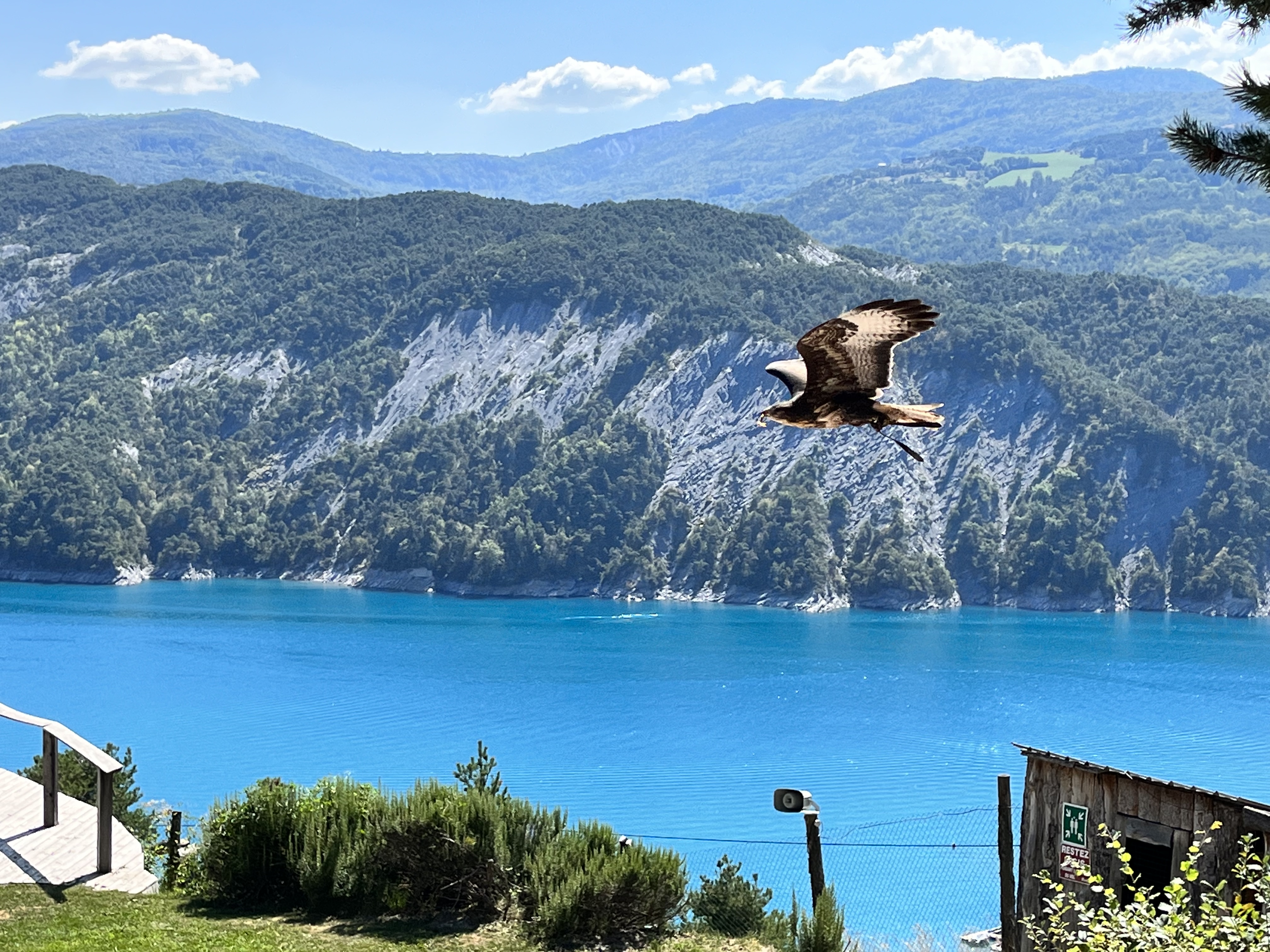 Photo n° 1 de l'avis de Marie. fait le 10/09/2023 à 19:36