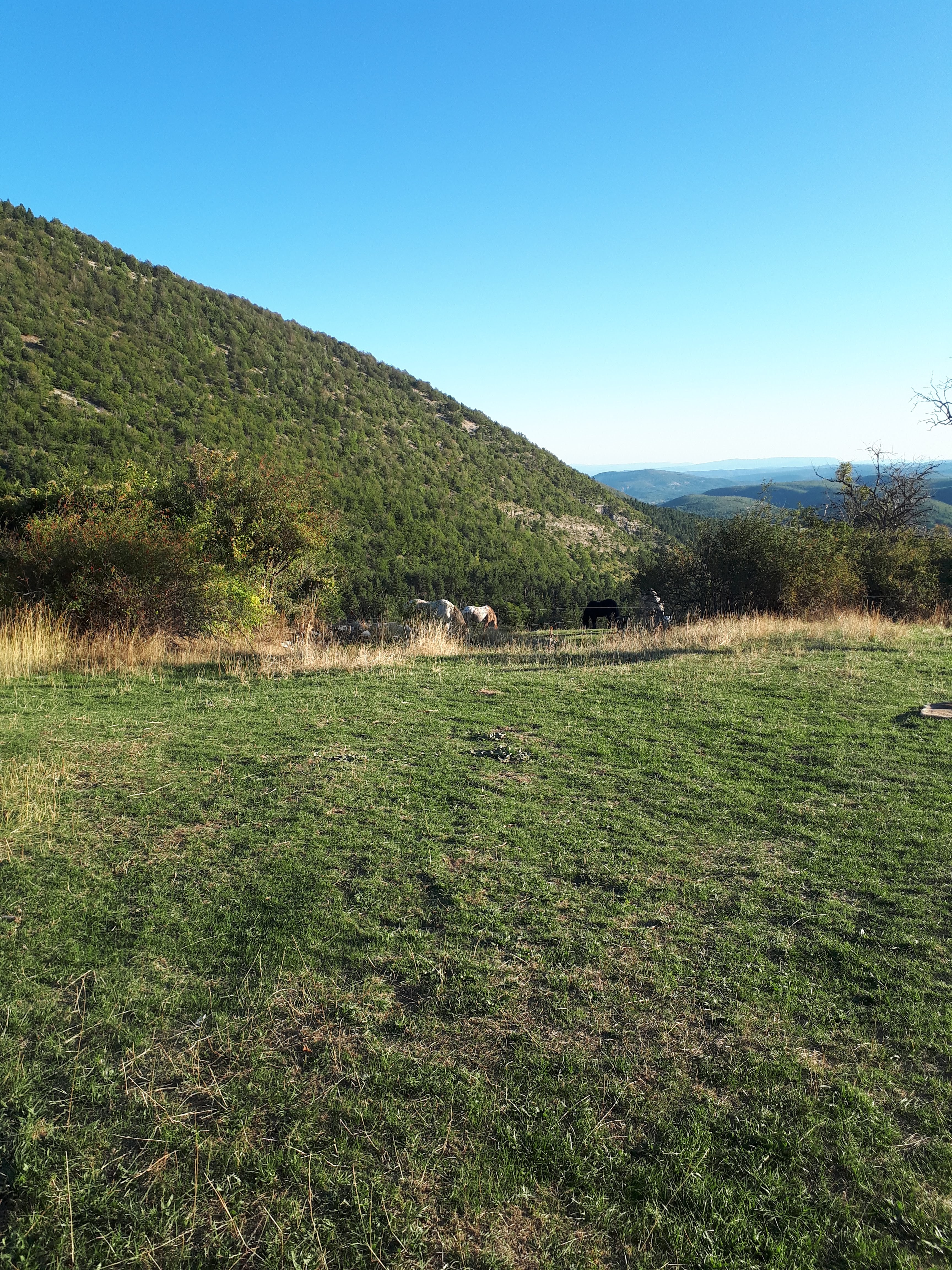 Photo n° 4 de l'avis de Thierry.i fait le 01/10/2019 à 17:37
