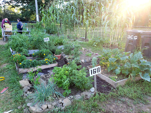 Park «Mack Park», reviews and photos, 31 Grove St, Salem, MA 01970, USA