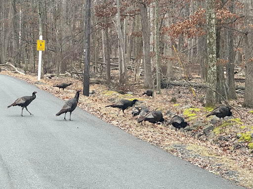 Ski Shop «Eagle Rock Resort Ski Shop», reviews and photos, Country Club Rd, Hazleton, PA 18202, USA