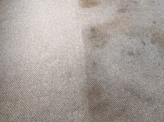 CKLK Carpet Cleaning Manchester