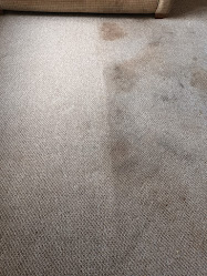 CKLK Carpet Cleaning Manchester