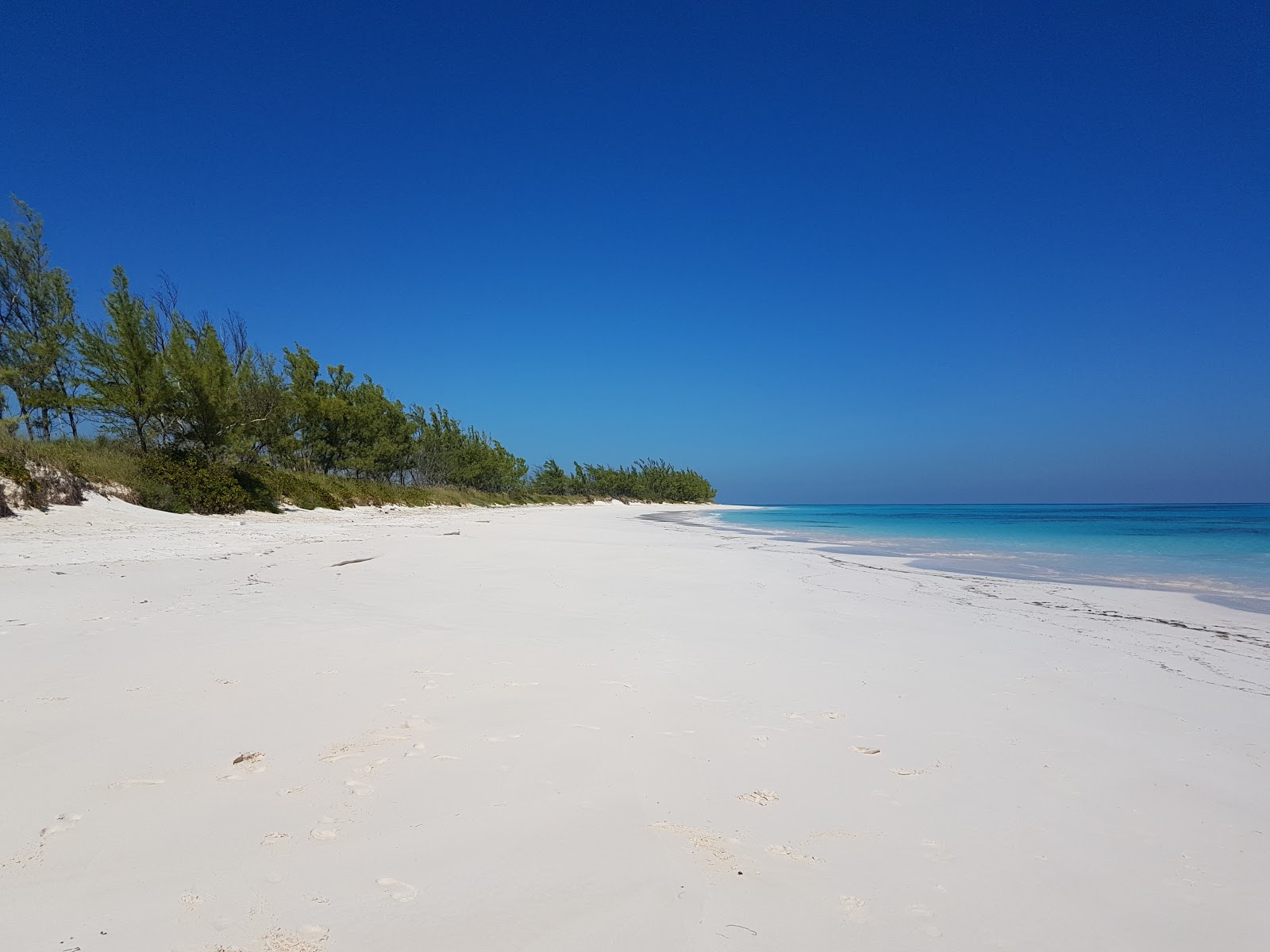 Foto van Lighthouse beach wilde omgeving