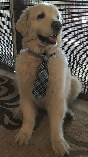 Pet Supply Store «Pet Oasis», reviews and photos, 42220 Washington St, Bermuda Dunes, CA 92203, USA