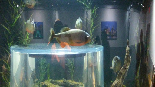 Aquarium «Tennessee Aquarium», reviews and photos, 1 Broad St, Chattanooga, TN 37402, USA