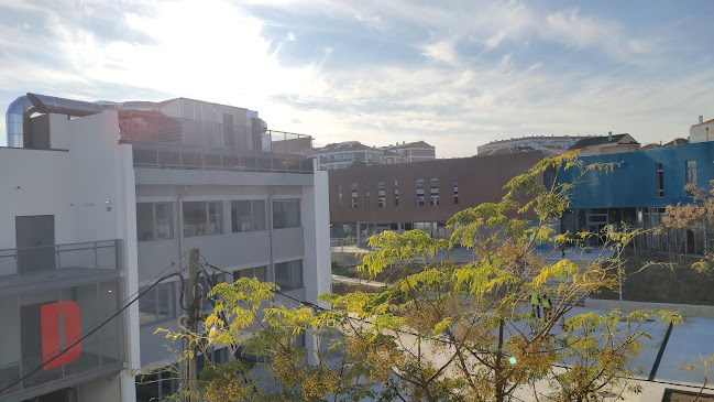 Escola Secundária do Monte de Caparica