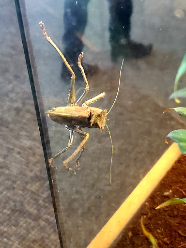 Science Museum «Museum of Life and Science», reviews and photos, 433 W Murray Ave, Durham, NC 27704, USA