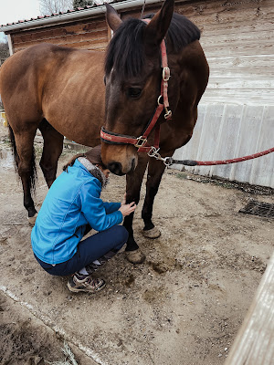 Equi'libre SHIATSU à Mery
