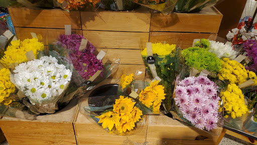 Supermarket «Publix Super Market at Hollybrook Plaza», reviews and photos, 5400 Bruce B Downs Blvd, Wesley Chapel, FL 33544, USA