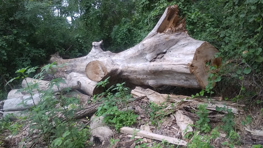 Park «River Legacy Parks East», reviews and photos, 1601 NE Green Oaks Blvd, Arlington, TX 76006, USA