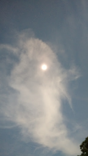 Golf Club «True Blue Golf Plantation», reviews and photos, 900 Blue Stem Dr, Pawleys Island, SC 29585, USA