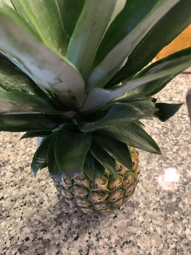 Produce Market «Marketplace Produce», reviews and photos, 11403 Seminole Blvd, Largo, FL 33778, USA