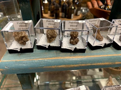 Book Store «Mondazzi Books», reviews and photos, 570 Hayden Station Rd, Windsor, CT 06095, USA