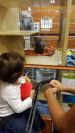 Pet Supply Store «PetSmart», reviews and photos, 601 Centerview Blvd, Kissimmee, FL 34741, USA