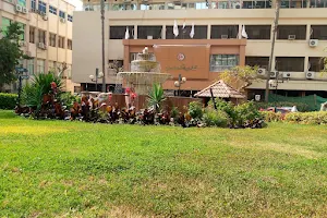 Faculty of Medicine - Mansoura University image