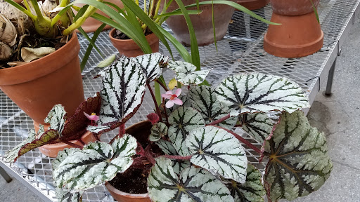 Art Museum «Isabella Stewart Gardner Museum», reviews and photos, 25 Evans Way, Boston, MA 02115, USA