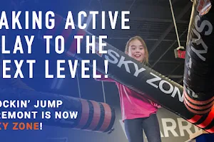 Sky Zone Trampoline Park image