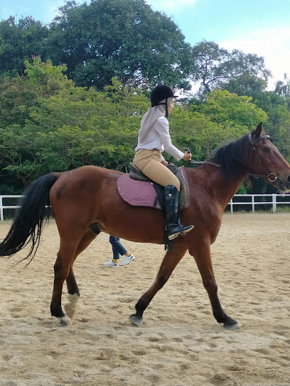 Amigos Horse Riding ( Leisure Farm )