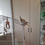 Photo n°4 de l'avis de Marianna.a fait le 03/11/2021 à 11:30 sur le  Hotel Consuelo à Riccione