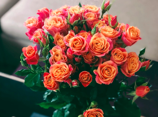 Funeral Home «George G Fitzpatrick Funeral», reviews and photos, 1500 Old York Rd, Abington, PA 19001, USA