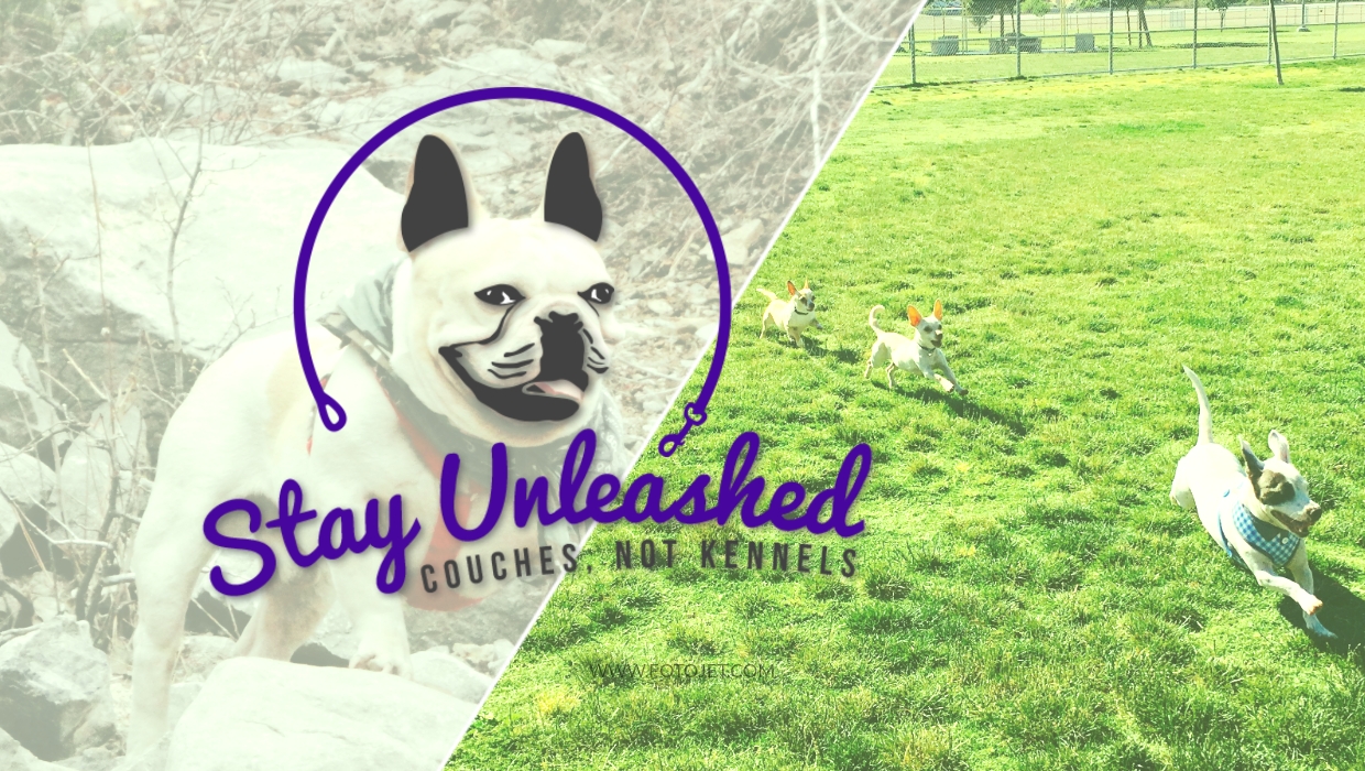 Stay Unleashed Pet Sitting & Day Care: Rover.com