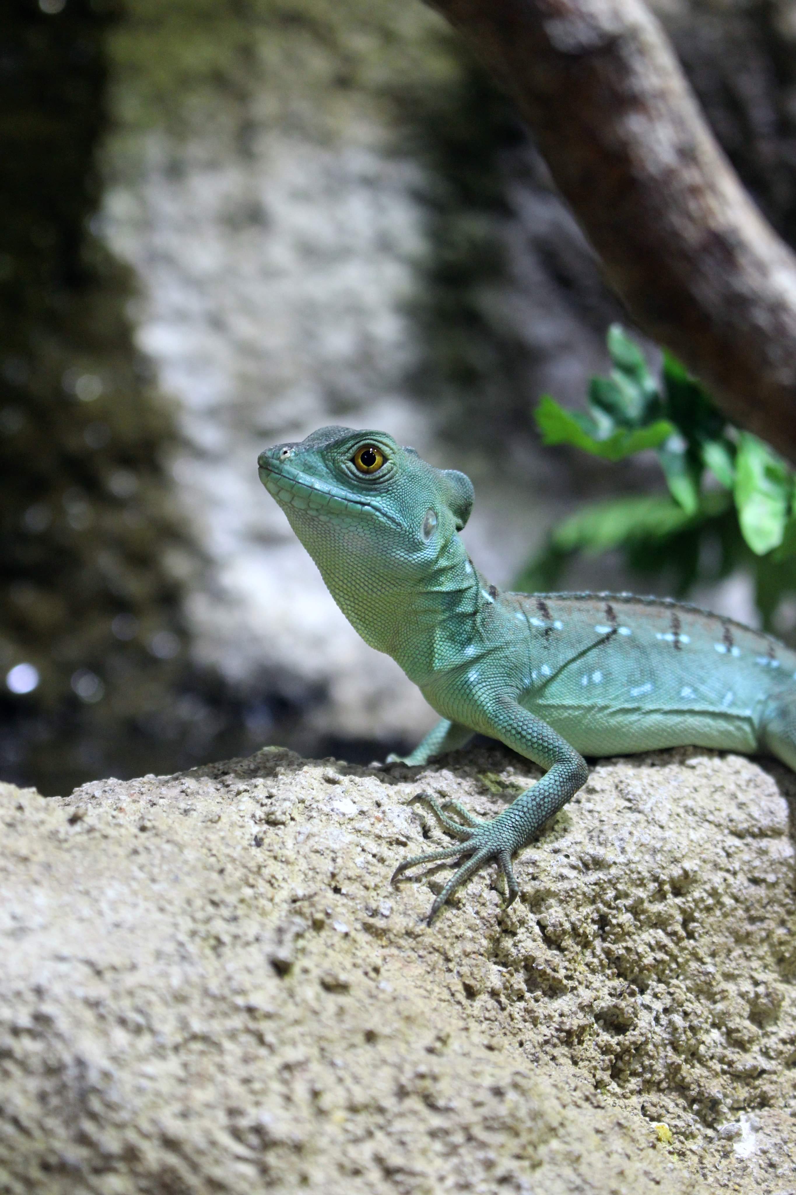 Photo n° 2 de l'avis de Aurore.u fait le 17/08/2020 à 07:24