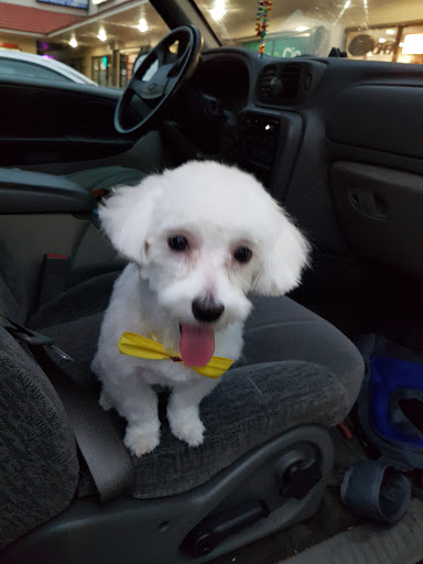 Pet Store «Pet Supermarket», reviews and photos, 12576 SW 8th St, Miami, FL 33184, USA