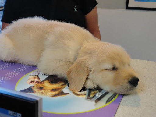 Graber's Animal Hospital