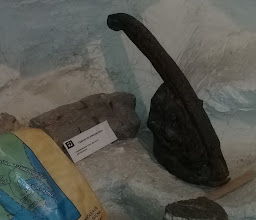 Museo Paleotológico de la Laguna photo