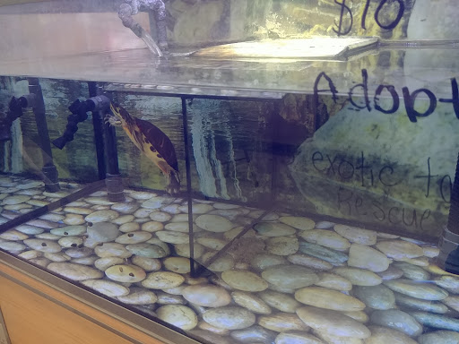 Pet Supply Store «Petco Animal Supplies», reviews and photos, 2140 E Blvd St, Kokomo, IN 46902, USA