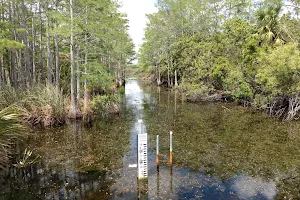 Karen T. Marcus Sandhill Crane Access Park image