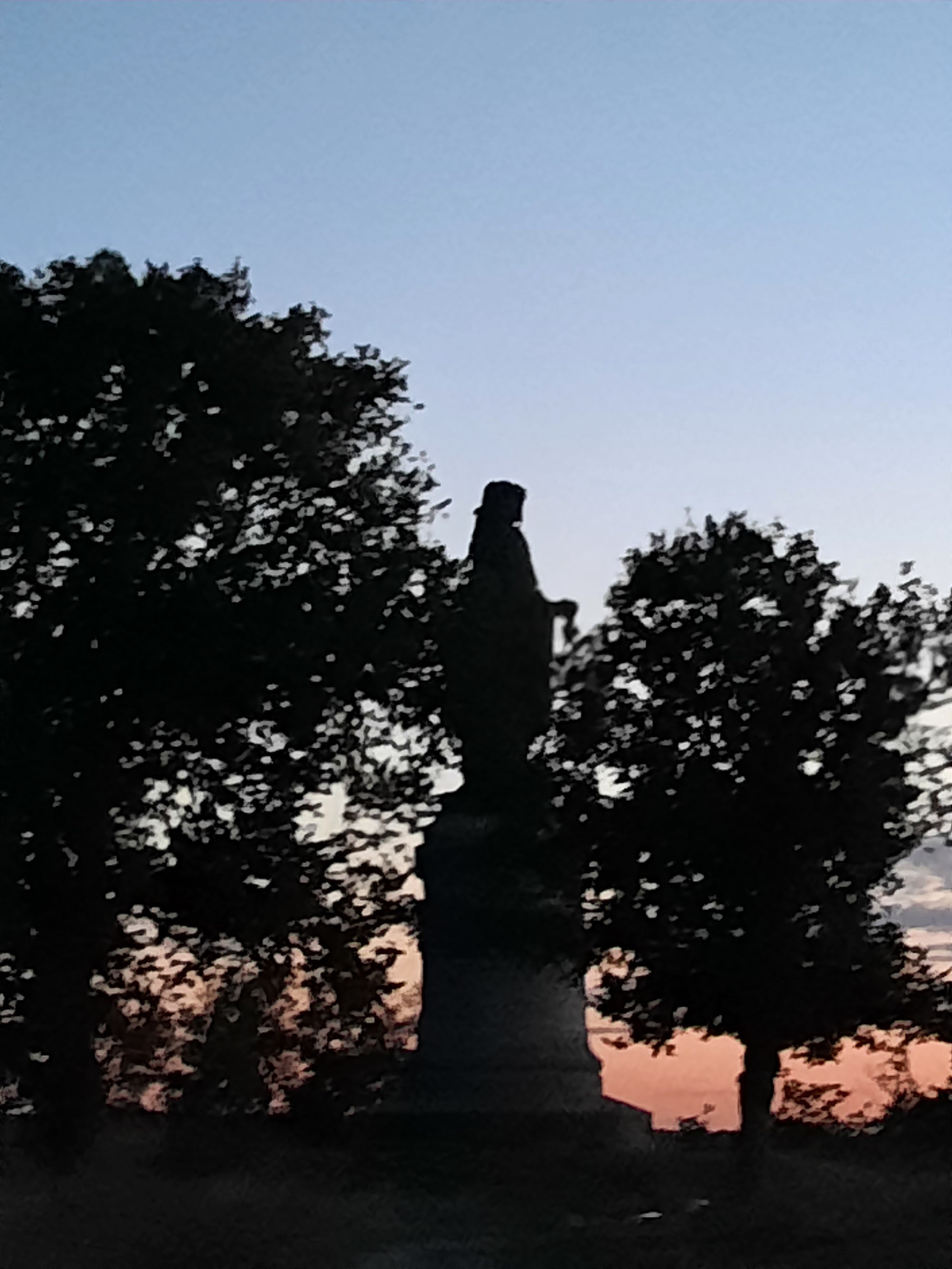 Photo n° 1 de l'avis de Christine.a fait le 20/07/2023 à 06:41