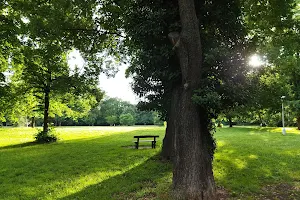 Mary's Meadow Park image